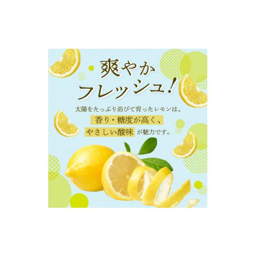 ふるさと納税 広島県 呉市 国産檸檬（レモン）発祥の地　広島大長檸檬　10kg