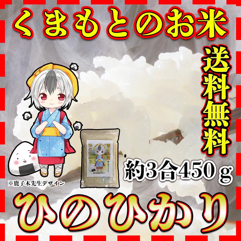 お米 米 450g 白米 送料無料 熊本県産 ひのひかり お試し米 約3合 新米 令和5年産 くまもとのお米 富田商店 とみた商店