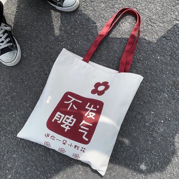 ins單肩不發脾氣韓風上課帆布包