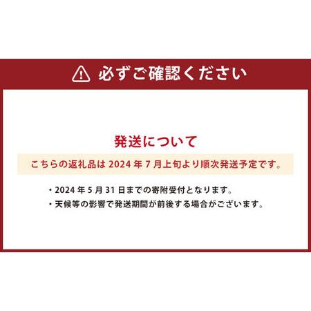 ふるさと納税 熊本県産 ハウスみかん 約5kg 約48〜60個 蜜柑 ミカン 柑橘 熊本県