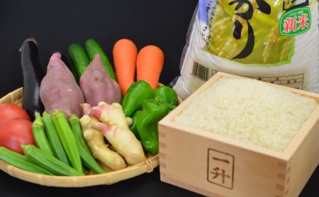 野菜 7品 新鮮 朝採れ 米 コシヒカリ 3kg 白米 ごはん ご飯 セット 詰め合わせ 産地直送 高知県産 須崎市