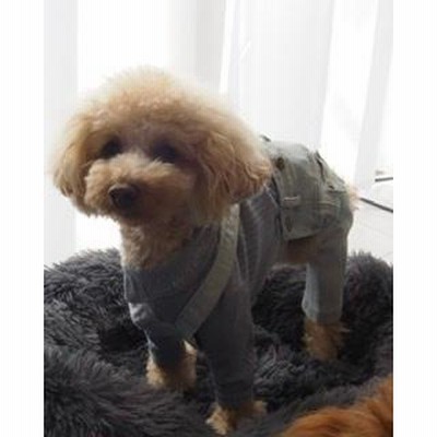 犬　犬ファッション　犬服販売　いぬ　犬アパレル　小型犬服　ドッグウェア　ドッグウェア販売　オーバーオール　デニム