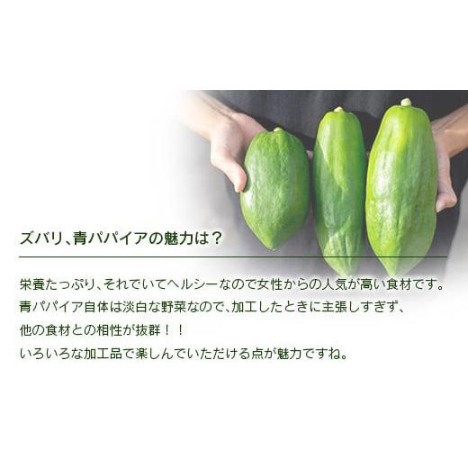 ふるさと納税 宮崎県 新富町 《無添加》青パパイアドレッシング（200ml×4本）