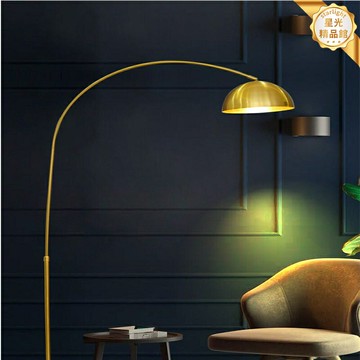 【全銅智能】落地燈 釣魚燈 客廳燈 北歐燈 立式地燈 復古燈 美式燈 書房燈 天貓精靈語音控制 無極調光調色 金屬質感 客廳書房臥室氛圍燈