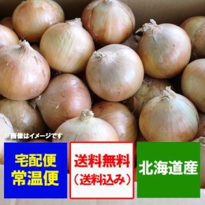 玉ねぎ 10kg 送料無料 北海道産 たまねぎ 10kg 2Lサイズ 共選 送料無料 北海道 野菜 玉ねぎ