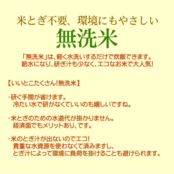 無洗米 農薬低減米 コシヒカリ 10kg 米 お米   低農薬 新潟 岩船産 令和5年産 新米   人気 おいしい 新潟米 こしひかり 送料無料