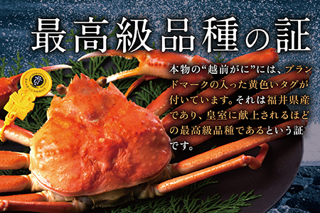 越前がに（オス）「ずわいがに」中サイズ（600g-800g） 訳あり 2杯