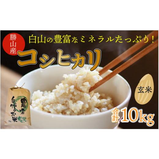 ふるさと納税 福井県 勝山市 白山の恵み 令和5年度産 コシヒカリ（玄米）10kg [A-009005]