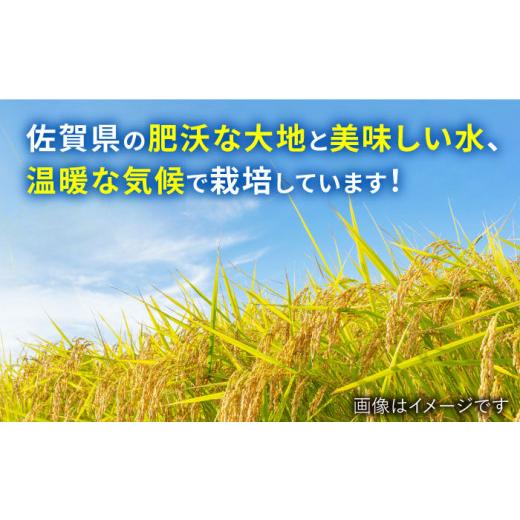 ふるさと納税 佐賀県 武雄市 令和5年産 新米 武雄市橘産 さがびより 20kg（5kg×4袋） 米 こめ [UCL003]