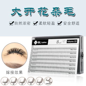 BL睫毛嫁接睫毛濃密定型開花2D,3D,4D,5D,6D 粗細0.07促銷一盒7排