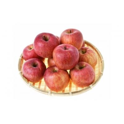 ふるさと納税 福島市 りんご　サンふじ　家庭用約5kg　林檎　リンゴNo.2065