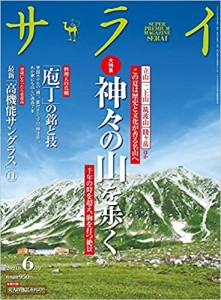 サライ　2021年　６月号