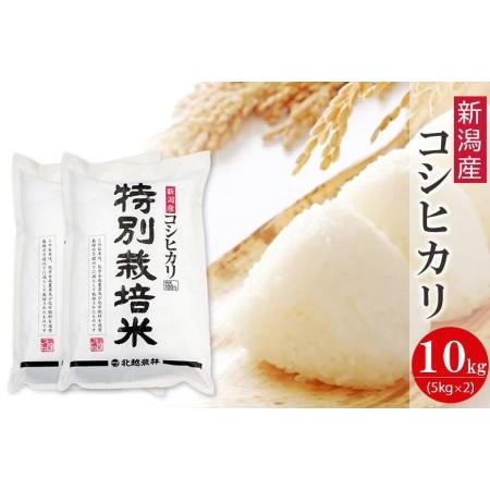 ふるさと納税 新潟産コシヒカリ 特別栽培米10kg  新潟県認証米 令和5年産 新潟県