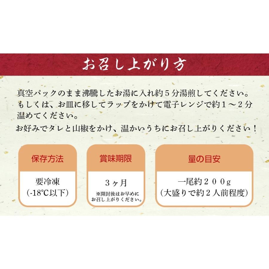 鹿児島 鰻 大隅産 特大 肉厚で美味しい 鰻の蒲焼き 国産ウナギ 200g×2尾 山椒・タレ付 うなぎ お中元 土用丑の日 うなぎ