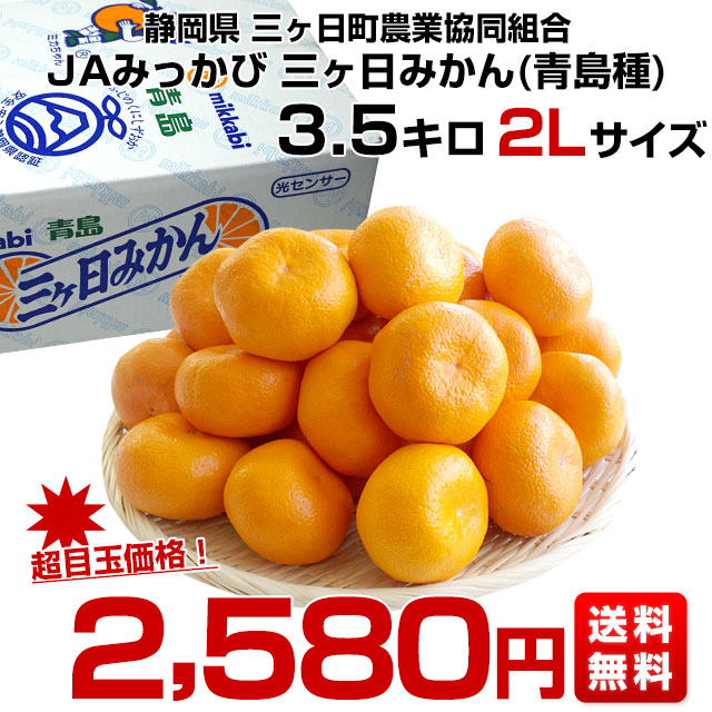 静岡県より産地直送 JAみっかび 三ケ日みかん (青島種) 2Lサイズ 3.5キロ (30玉前後) 送料無料 ミカン 蜜柑 三ヶ日 温州みかん