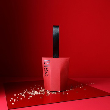 RISE 發芽囍米小禮盒【可客製】 240入 贈客製名牌 質感婚禮小物