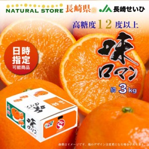 [予約 2024年1月1日必着] 味ロマン みかん Lサイズ 約3kg 長崎県 JA長崎せいひ 長崎 お正月必着指定 お年賀 御年賀 冬ギフト