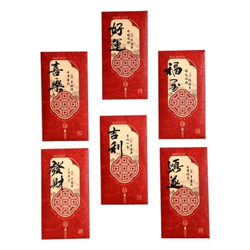 新年彩繪童風紅包袋 混裝 16.8 x 8.6 cm 白卡紙  6個