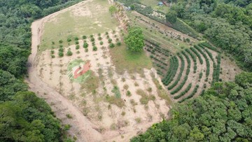 宜蘭三星景觀平坦山坡地露營區｜宜蘭縣三星鄉大隱一段