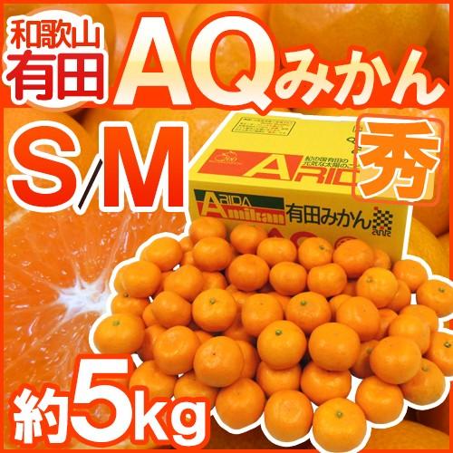 みかん 和歌山産 ”AQみかん” 秀品 S M 約5kg 有田みかん 送料無料