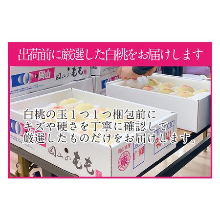 ふるさと納税 桃 2024年 先行予約 岡山の白桃 250g以上×6玉 白桃 旬 みずみずしい 晴れの国 おかやま 岡山県産 フルーツ王国 果物王国 岡山県倉敷市