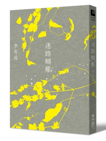 迷路蝴蝶[二手書_良好]
