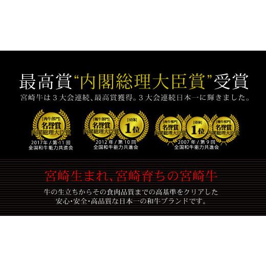 ふるさと納税 宮崎県 新富町 ＜宮崎牛＞リブロース焼肉 900g