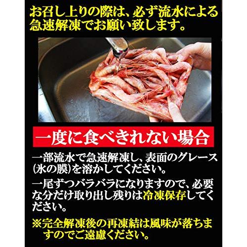 ますよね 福井県 越前産 子なし 甘えび 500g (約50尾入り) 酸化防止剤 添加物 不使用 えび エビ 海老 甘海老