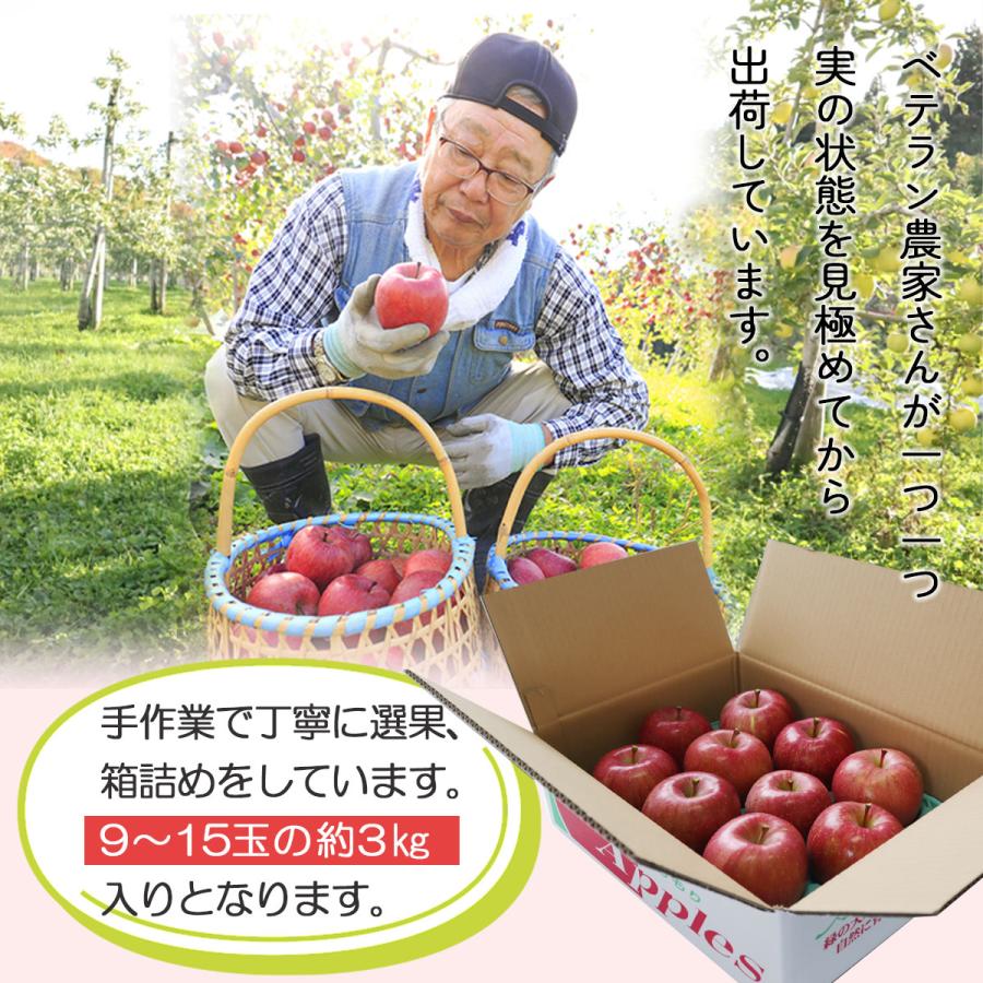 2023年産 青森県産りんご ご家庭用 訳あり サンふじ3kg （約9玉〜15玉入り）産地直送