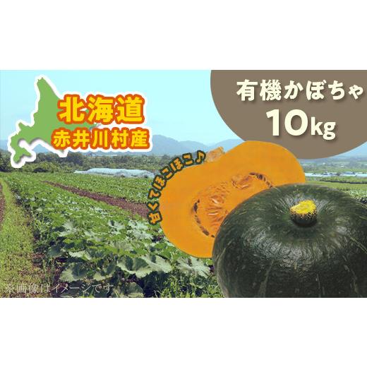 ふるさと納税 北海道 赤井川村 甘くてほこほこ！関野農場の有機かぼちゃ（北海道赤井川村産）