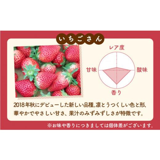 ふるさと納税 佐賀県 白石町 紅白いちご「いちごさん」＆「パールホワイト」化粧箱 約330g以上 [IBG001]