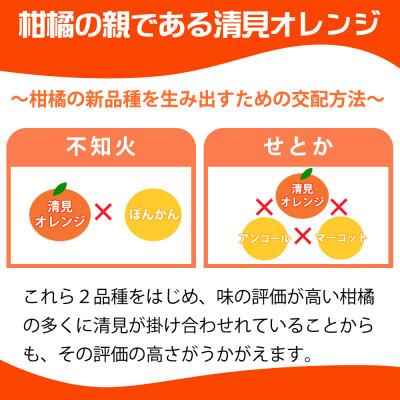 ふるさと納税 日高町 紀州有田産清見オレンジ　7.5kg