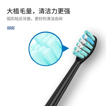 牙刷頭 云南白藥金口健電動牙刷刷頭替換頭2支裝黑色