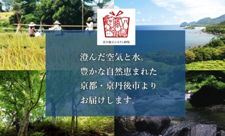 梨・フルーツ／京丹後産 新興梨 大玉 5kg（6～10玉入り）（2024年10月上旬～発送）人気梨品種・果物・フルーツ・2024年11月中旬～発送・旬のフルーツ・旬の果物・梨セット・梨の詰め合わせ