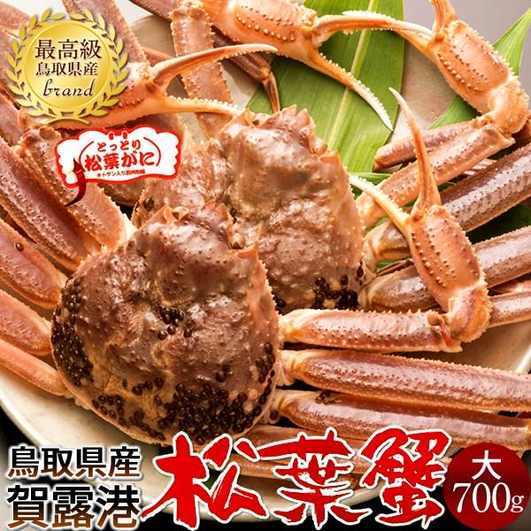 松葉ガニ タグ付き 松葉蟹［大］700g×2尾 活まつばがに 生きたまま 新物 鳥取県産 生 マツバガニ 日本海ズワイガニ［お歳暮 2023 ギフト 御歳暮］