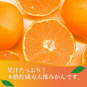 ふるさと納税 寿太郎 みかん 10kg 産地直送 柑橘 訳あり（寿太郎 みかん 西浦 みかん 蜜柑 果物 みかん フルーツ みかん 柑橘 農家直送 みかん .. 静岡県沼津市