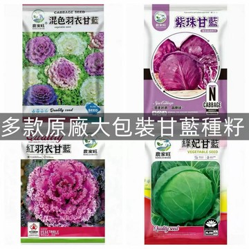 【原廠包裝】台灣蝦皮賣爆！混色羽衣甘藍＋牛包心甘藍種子，紅白紫綠可選，陽台自產高麗菜，四季皆可種， 新手也能大豐收
