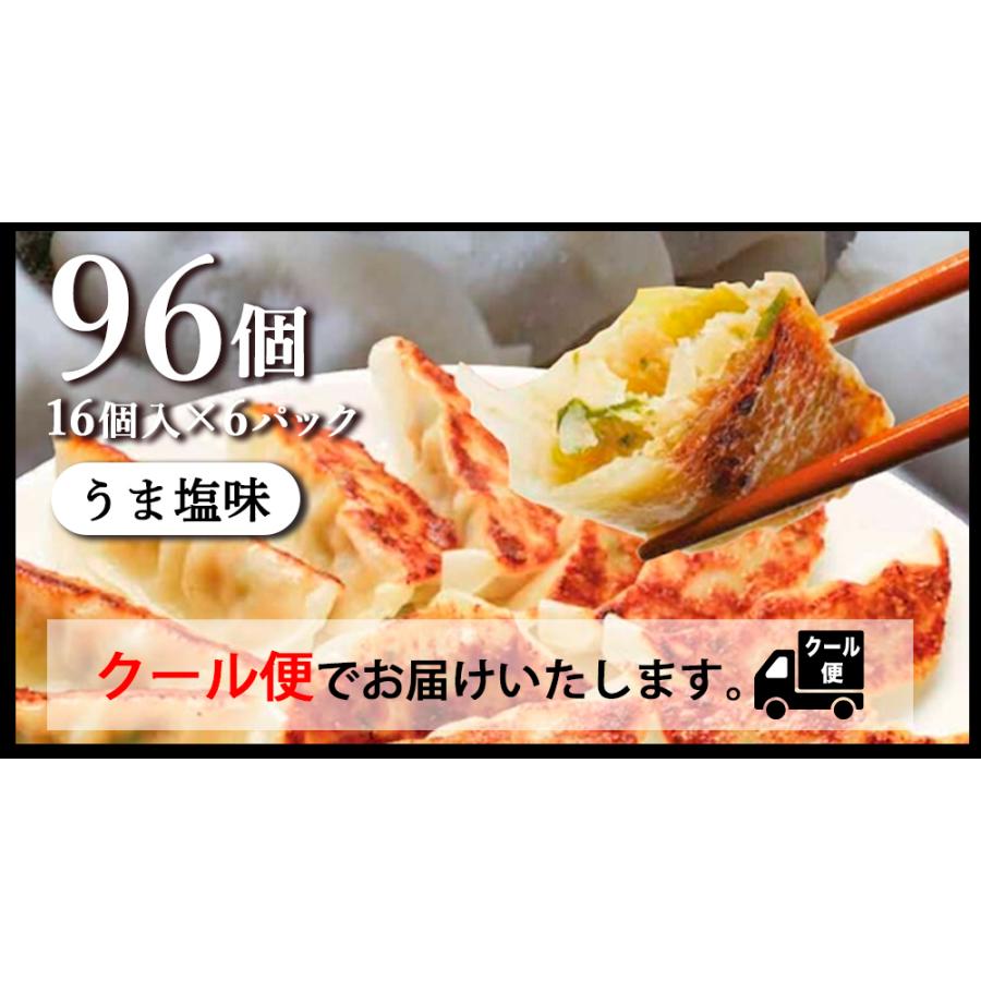 ぎょうざ 太宰府ぎょうざ うま塩 餃子 96個 270g にんにく 中華 冷凍食品 お取り寄せ ギフト おかず 冷凍餃子  福岡県産 rep-002