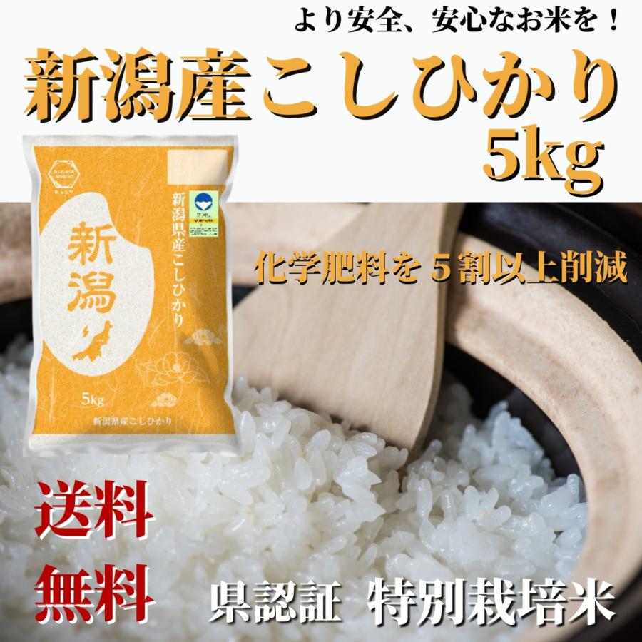 新米 令和５年産 お米 5kg 新潟県認証 特別栽培米 新潟産 コシヒカリ 精米 贈り物 ギフト