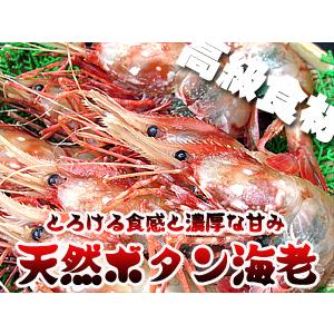 天然ボタンエビ500g Lサイズ(ぼたんえび)刺身で食べれる牡丹海老 高級食材のボタン海老です 濃厚な甘さとプリップリッの食感(牡丹エビ)