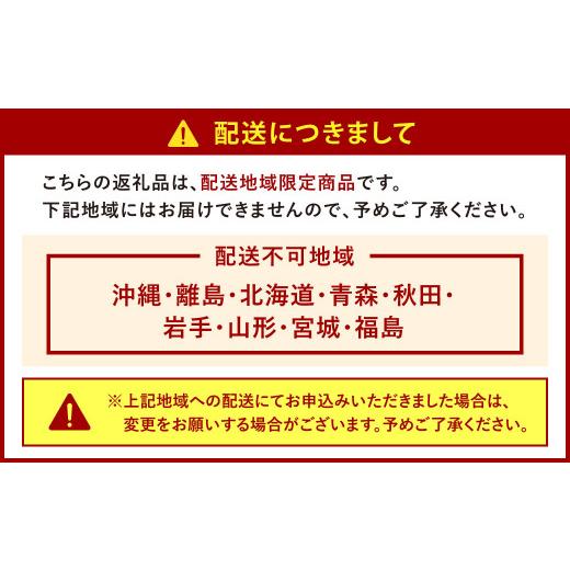 ふるさと納税 福岡県 北九州市  天姫 (あまひめ) イチゴ 200g×4パック