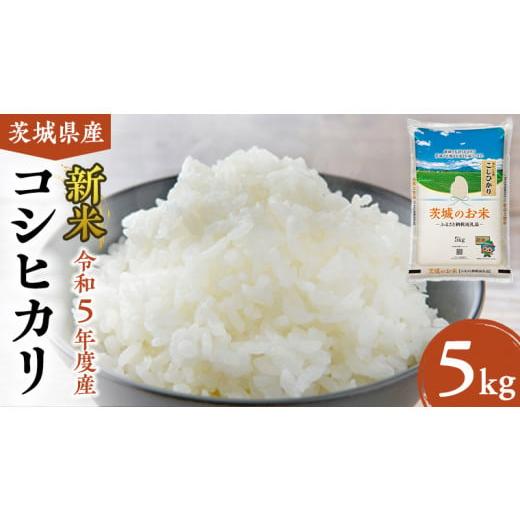 ふるさと納税 茨城県 筑西市  茨城県産 コシヒカリ 5kg 米 お米 コメ 白米 こしひかり 茨城県 …