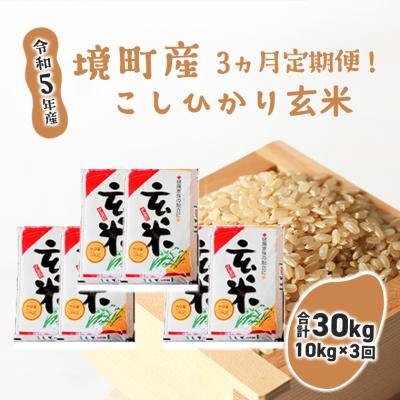 ふるさと納税 境町 令和5年産 茨城県 境町産 こだわり「こしひかり」玄米10kg×3回(合計30kg)