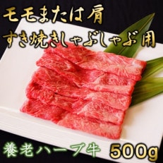 養老ハーブ牛　モモまたは肩　すき焼き・しゃぶしゃぶ両用　500g