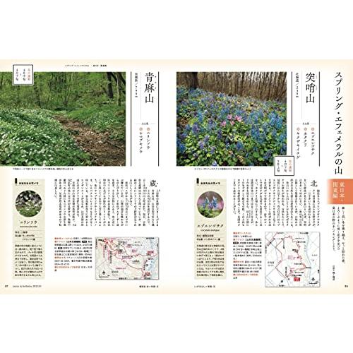 山と溪谷 2023年3月号 山と遭難