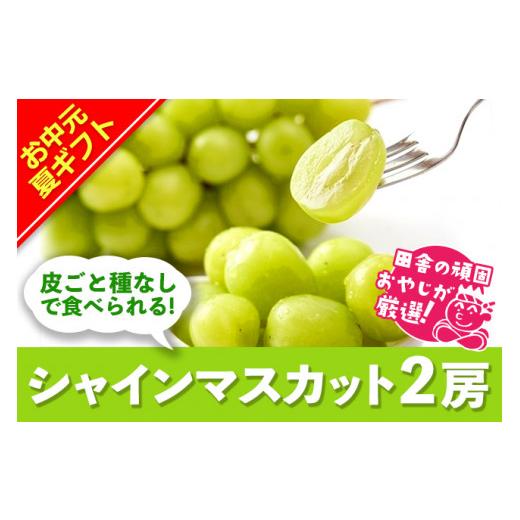 ふるさと納税 茨城県 つくばみらい市 ＜お中元熨斗付＞田舎の頑固おやじが厳選！シャインマスカット2房