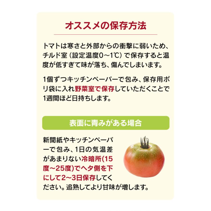 熊本産 塩トマト フルーツトマト 1kg 9〜12玉 送料無料 甘いトマト ＜12月中旬より出荷予定＞ 塩とまと 高糖度 農家直送 大嶌屋（おおしまや）