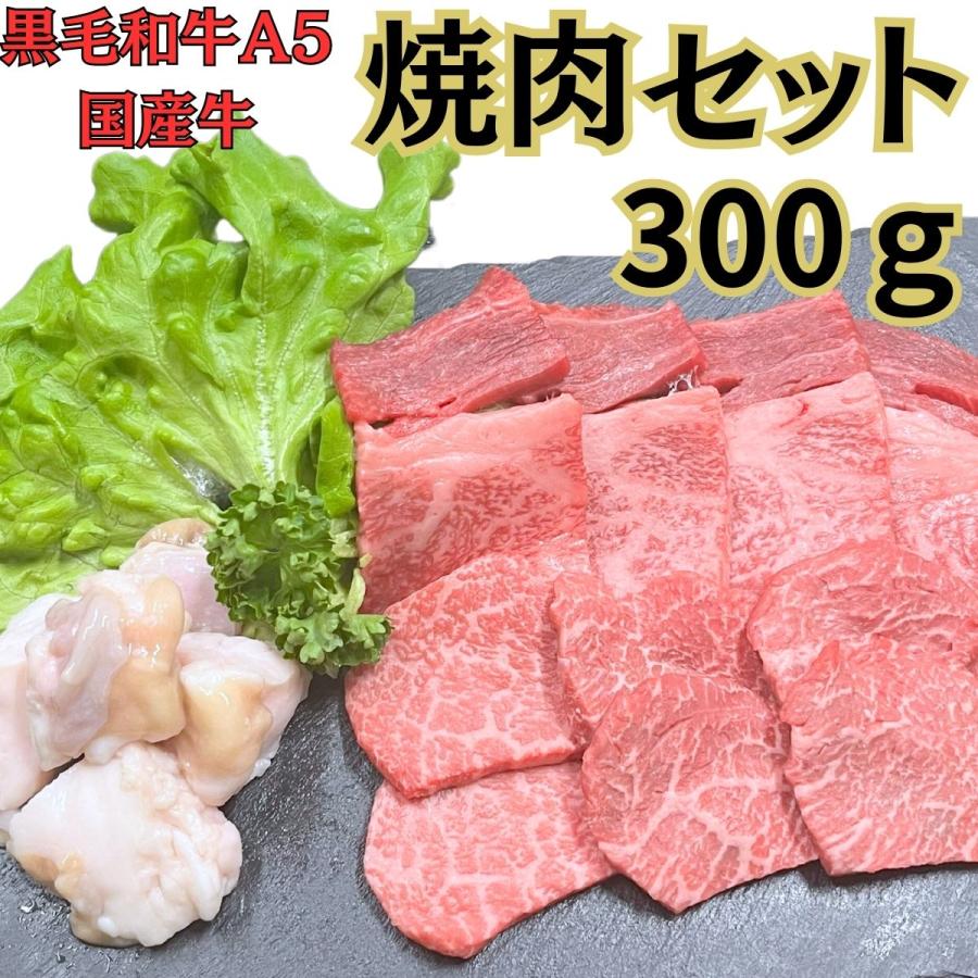 黒毛和牛A5　国産牛　お試し焼肉セット300ｇ　1〜2人前　カルビ　赤身　ホルモン 安い