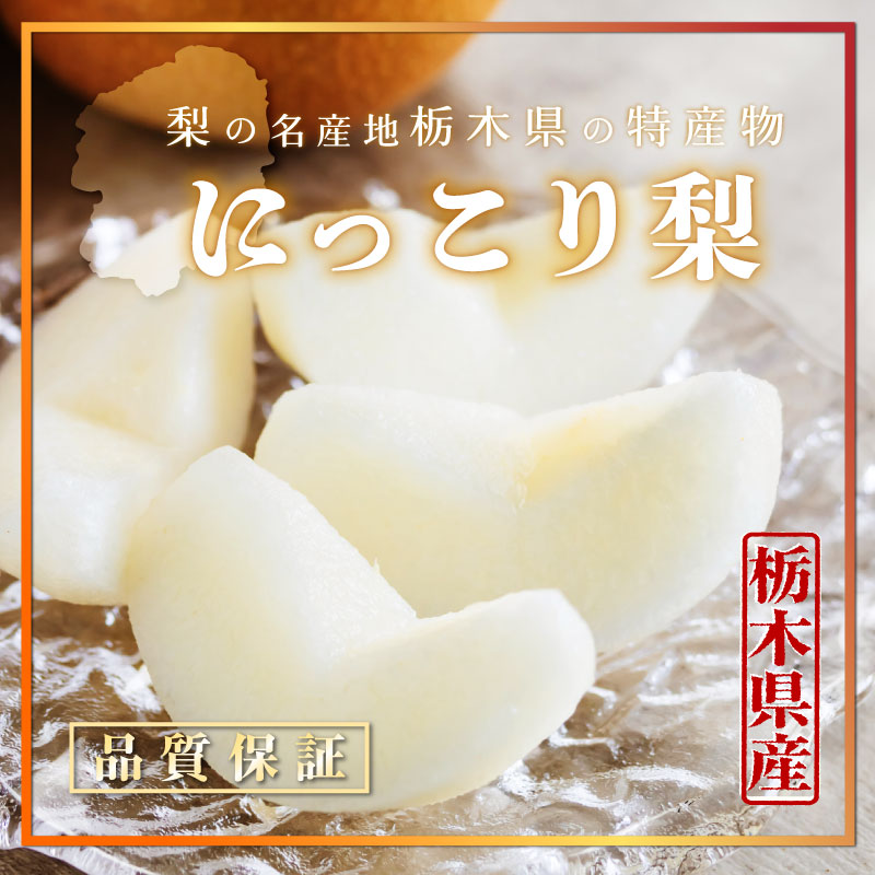 [最短順次発送]   にっこり梨 約1.2kg 約600g×2玉 栃木県産 ありの実箱専箱 NHK うまいッ で話題 梨 和梨  夏ギフト 御中元 お中元 秋ギフト  果実ギフト