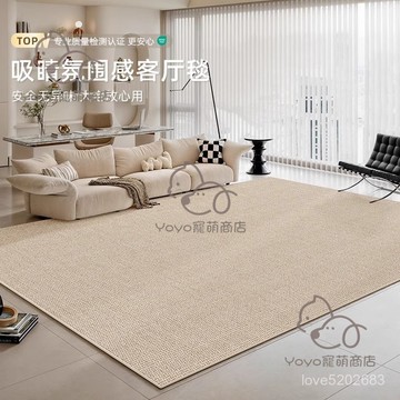 宅配免運😊地毯客廳臥室2024新款床邊地墊茶幾毯家用免洗可擦簡約侘寂風 墊子